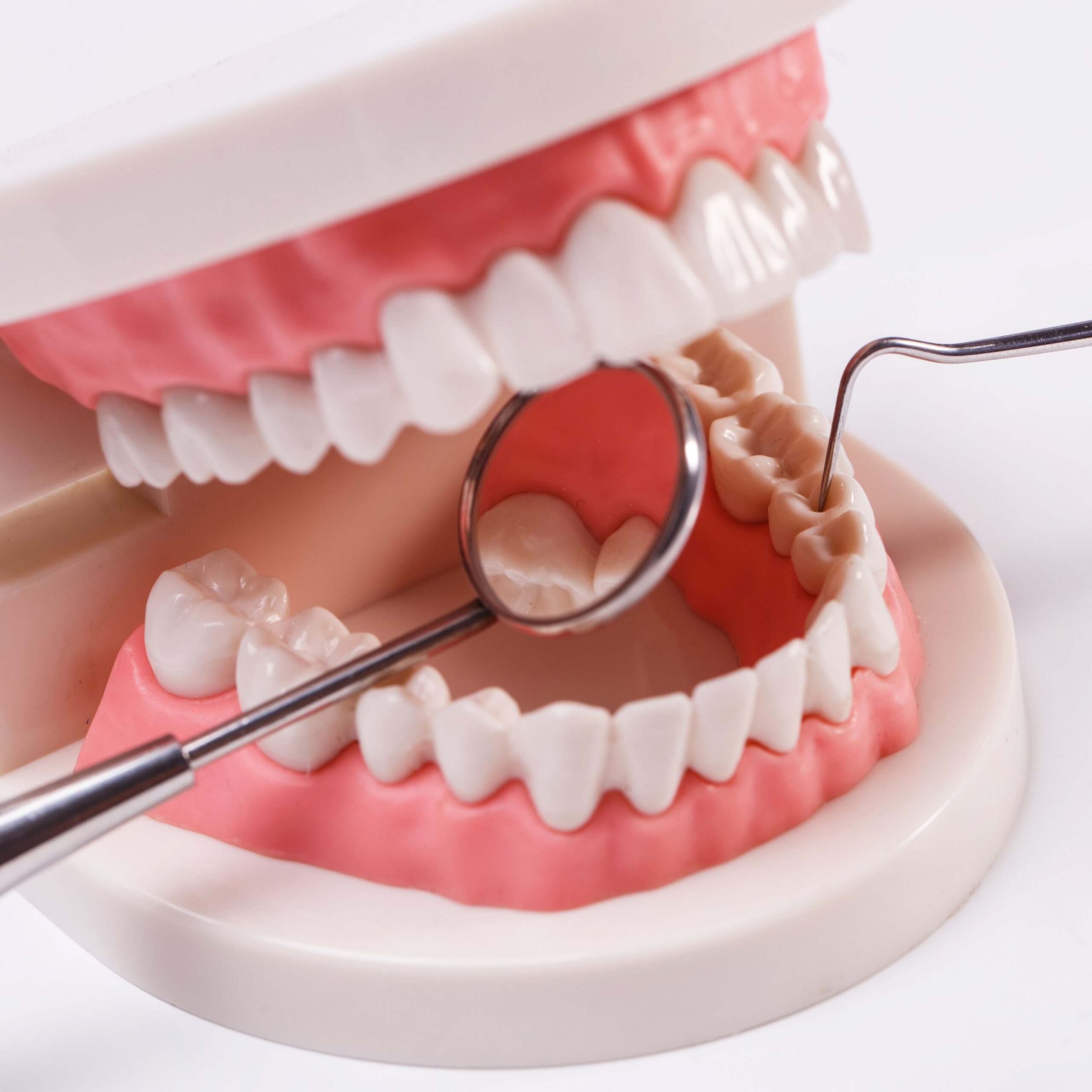 Ortodonti Tedavisi Her Yaşta Yapılabilir Mi?